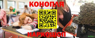 гашиш Новозыбков