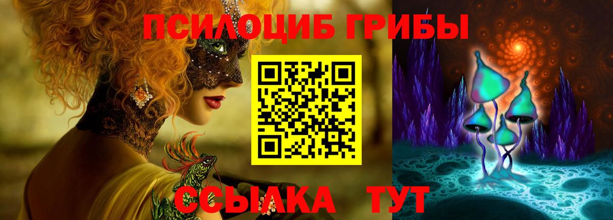 Псилоцибиновые грибы MAGIC MUSHROOMS  Галлюциногенные грибы ЛСД  Вход с VPN  Тара 