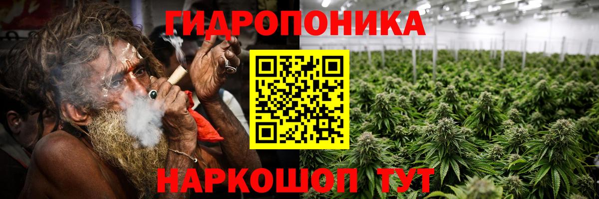 Каннабис сатива  Шишки марихуана тримм  Бошки Шишки конопля  Вход с VPN  Тара 