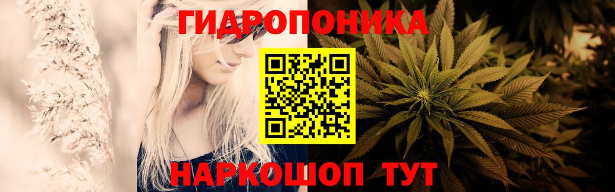 Канабис конопля Тара